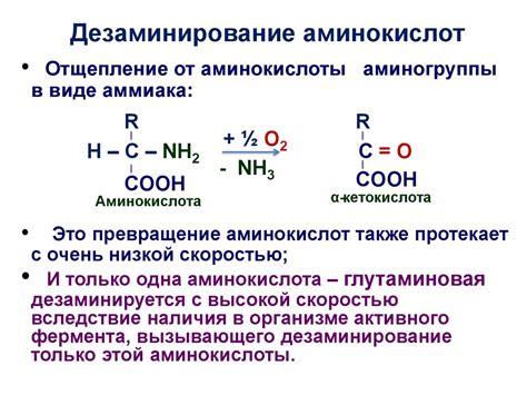 Биологическое значение гидроксилимонной кислоты