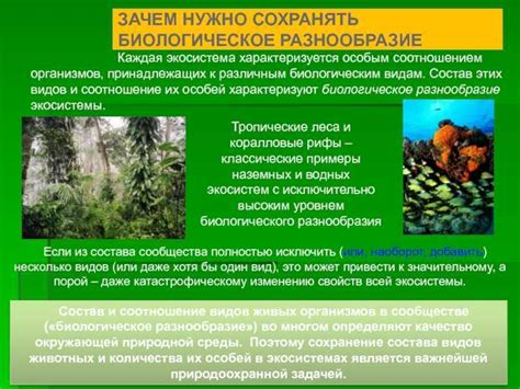 Биоразнообразие и экосистемы: сохранение природного богатства в условиях ограниченного увлажнения