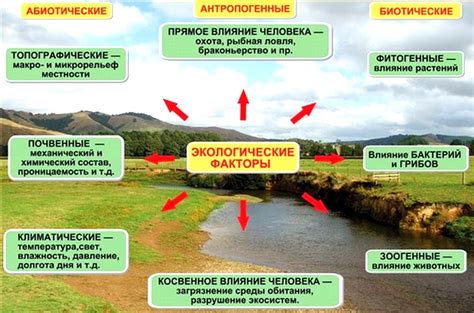 Биотопливо - эффективное решение для поддержания экологического баланса