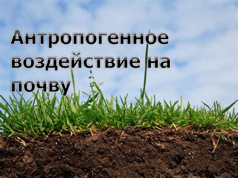 Благоприятное воздействие на почву