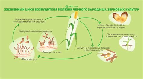 Болезнь и ее влияние на
