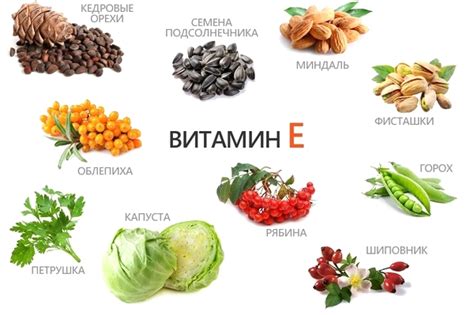Большое количество витамина Е