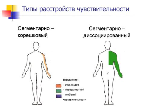 Боль и чувствительность