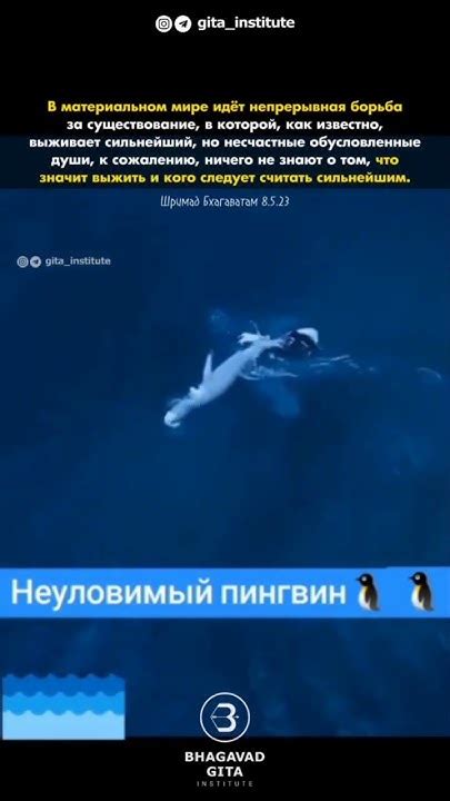 Борьба за счастье: Непрерывная борьба казахстанской пары за свою взаимную привязанность