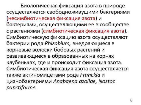 Борьба с инфекцией вызванной бактериями: роль закиси азота