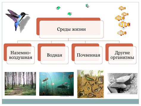 Будущее искусственной среды обитания под воздействием животных