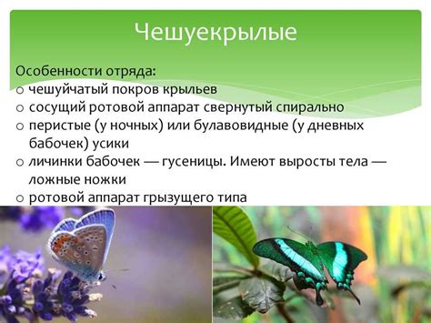 Важная роль в экосистеме Скайрима