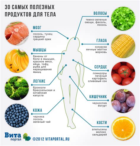 Важное влияние питания на результаты тренировки и общее самочувствие