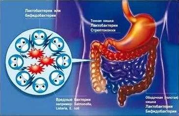 Важность восстановления организма