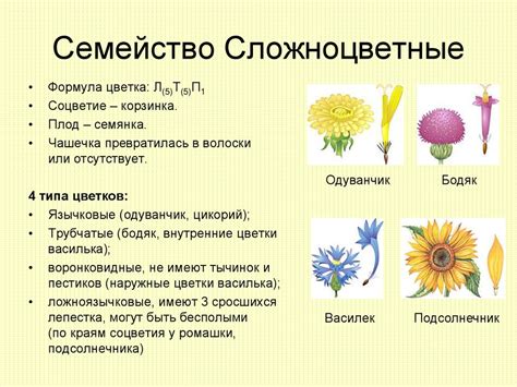 Важность выявления характерных признаков породы