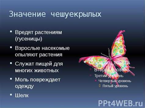 Важность изучения стукающего поведения для науки