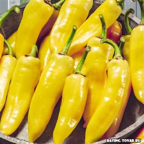 Важность использования семян горького перца: полезность и вкусовые преимущества