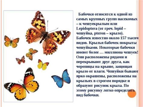 Важность и символика