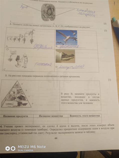 Важность и состав жидкости, необходимой для поддержания организма в равновесии