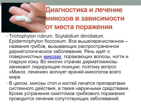 Важность микологии в науке