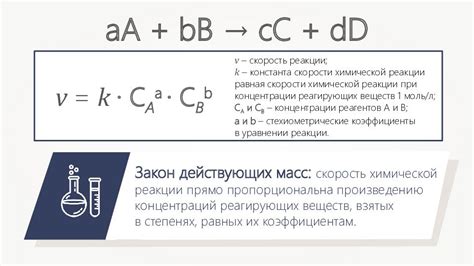 Важность обратной реакции