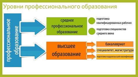 Важность опыта и уровня образования в поведении потребителя