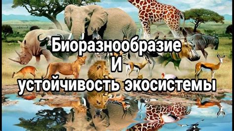 Важность понимания экосистем