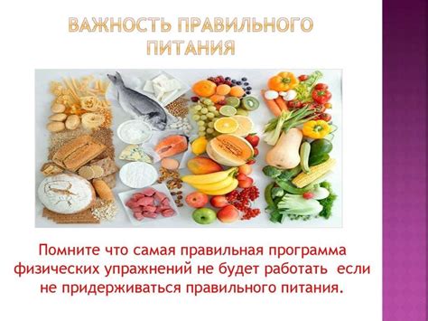 Важность правильного питания для жизнеспособности животного
