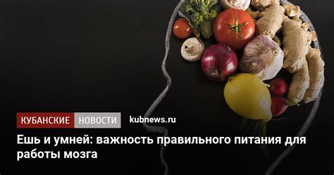 Важность правильного питания и гидратации