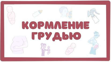Важность правильной техники кормления