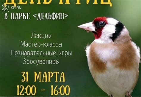 Важность регулярного предупреждения заболеваний у пернатых обитателей