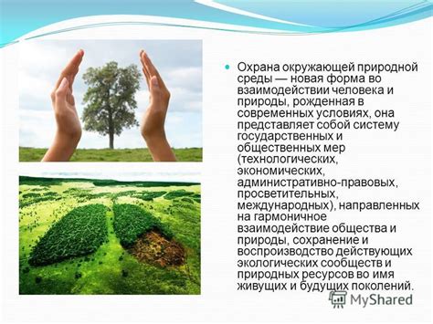 Важность экологии