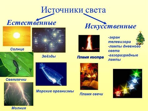 Важность яркости и равномерности света