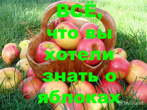 Важно знать о воске на яблоках