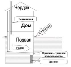Важные аспекты приватизации подвального помещения: ключевые моменты и процесс формализации