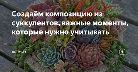 Важные моменты, которые нужно учитывать