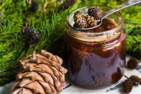 Варенье из шишек: рецепт приготовления