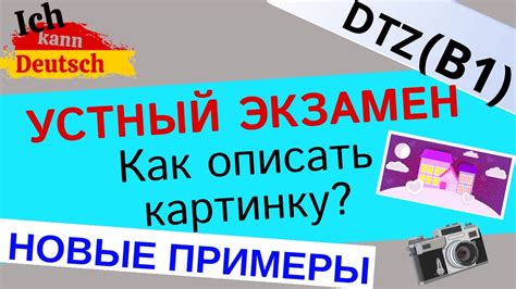 Варианты билетов: подробное описание и характеристики