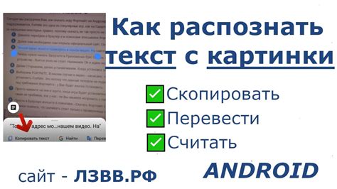 Введите текст для перевода