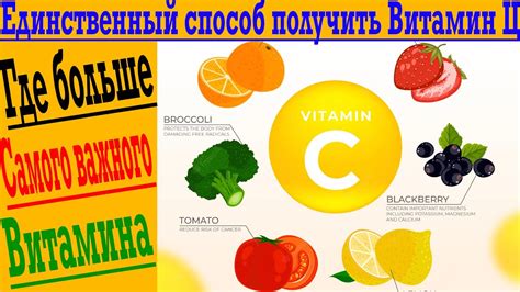 Взаимодействие витамина C и чая: особенности процесса