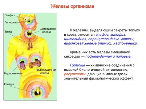 Взаимодействие нервной и эндокринной системы