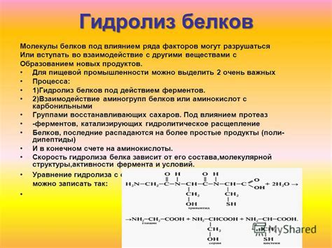 Взаимодействие структурных белков с другими молекулами