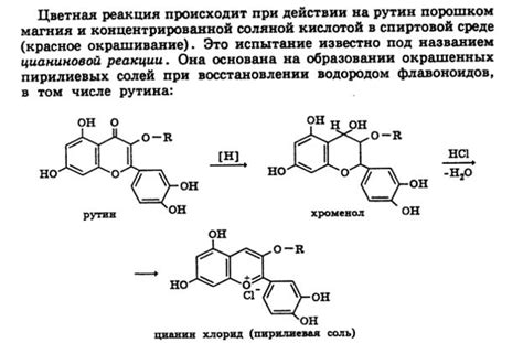 Взаимосвязь индивидуальных особенностей организма и реакции на кофеин