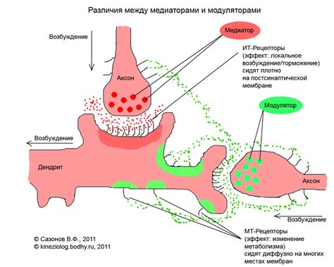 Взаимосвязь между стрессом и медиаторами воспаления