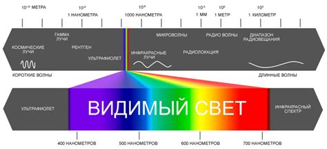 Видимый спектр и его воздействие на формирование изображения в фотокамере