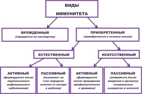 Виды иммунитета