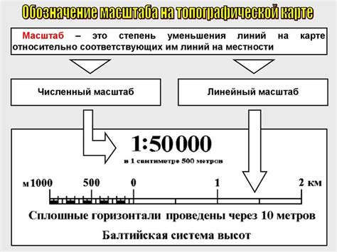 Виды масштаба в общественных науках