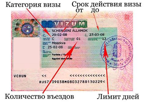 Виза: что это