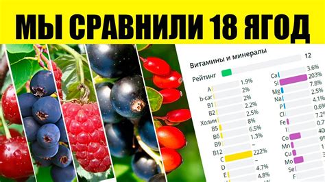 Витаминная сила и богатство микроэлементов в замороженных ягодах