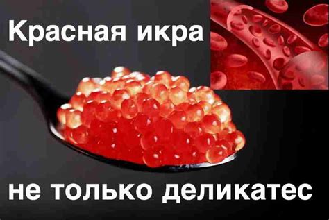 Витаминные добавки: эффективное средство для улучшения уровня гемоглобина в организме