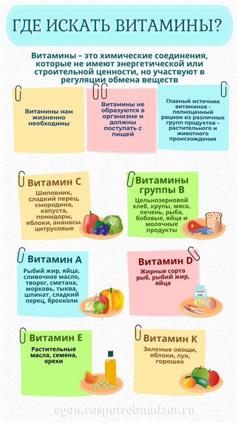 Витамины в биологии 9 класс