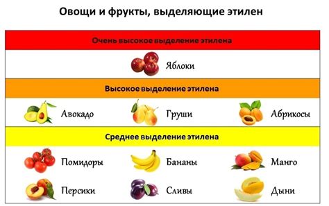 Вклад эффекта газа этилена в процесс созревания фруктов