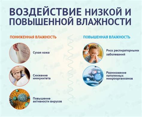 Влажность и вентиляция для свежести сливы