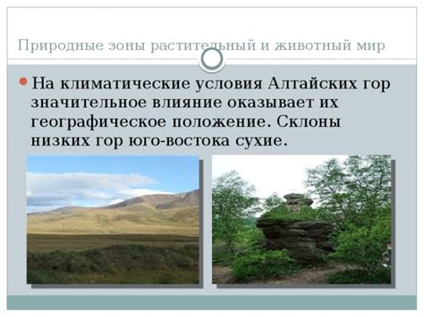 Влияние Алтайских гор на формирование континентального климата