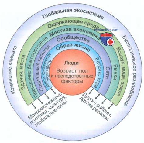 Влияние ОРЗ на здоровье населения
